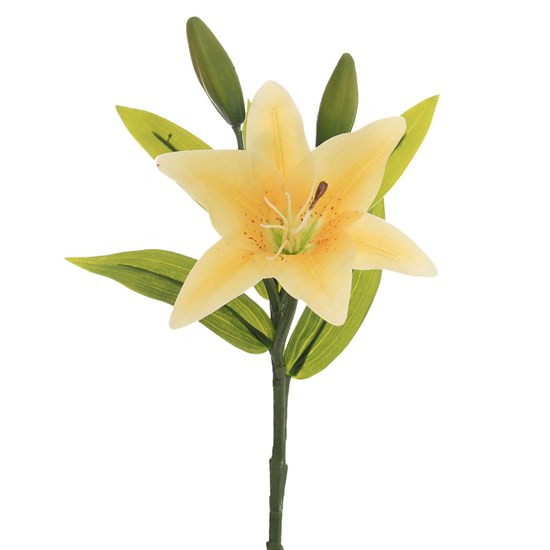 Imagem LÍRIO REAL MÉDIA 32CM AMARELO 33000 GRILLO