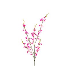 Imagem de ORQUÍDEA CHUVA DE OURO X5 92CM ROSA 29200 GRILLO - Grillo Ltda