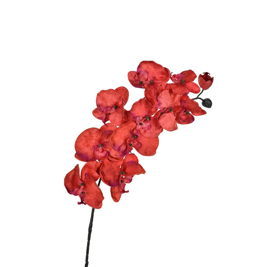 Imagem ORQUÍDEA EM VELUDO DIAMANTE X11 90CM VERMELHO 43653 GRILLO