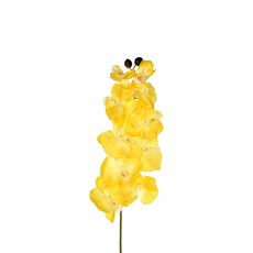 Imagem de ORQUÍDEA EM CETIM X10 97CM AMARELO 43635 GRILLO - Grillo Ltda