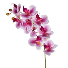 Imagem de HASTE ORQUÍDEA 3D X9 EM PVC BRANCO PURPURA 46406 GRILLO - Grillo Ltda