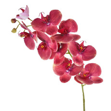 Imagem de HASTE ORQUÍDEA 3D X9 EM PVC MALVA 46406 GRILLO - Grillo Ltda