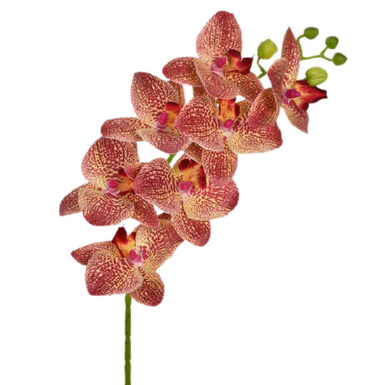 Imagem HASTE ORQUÍDEA 3D X7 BURGUNDY 46400 GRILLO