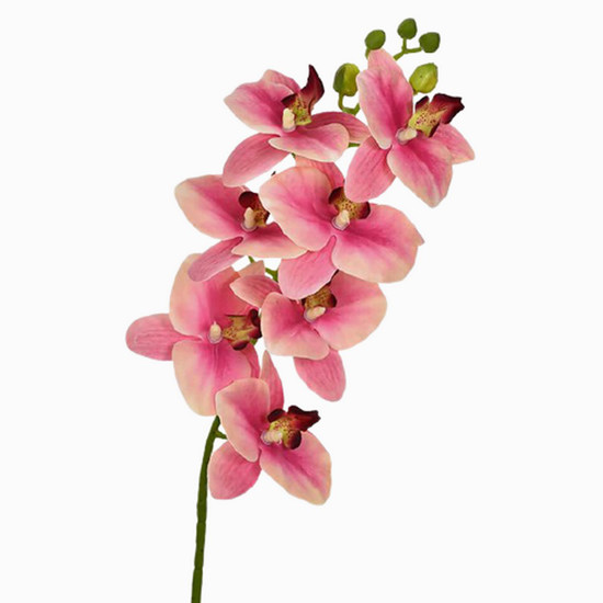 Imagem HASTE ORQUÍDEA 3D X7 ROSA 46400 GRILLO