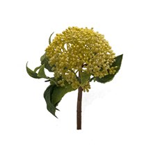 Imagem de HASTES FLOR ARTIFICIAL AMARELO 10CM X 28CM 48105 GRILLO - Grillo Ltda