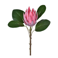 Imagem de HASTE PROTEA ROSA ESCURO 53CM 50241 GRILLO - Grillo Ltda