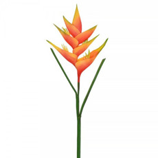 Imagem de HASTE HELICONIA TROPICAL LARANJA 49292 GRILLO  - Grillo Ltda