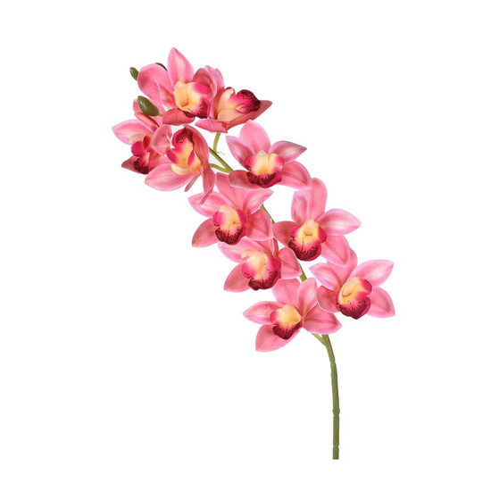 Imagem HASTE ORQUIDEA CYMBIDIUM X10 ROSA 50280 GRILLO 