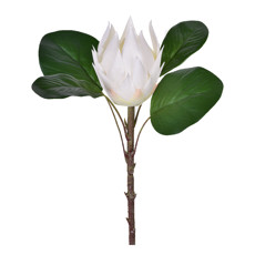 Imagem de HASTE PROTEA CREME 53CM 50241 GRILLO - Grillo Ltda