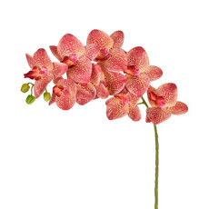 Imagem de HASTE ORQUIDEA 3D X9 BURGUNDY 11X79CM - GRILLO  - Grillo Ltda