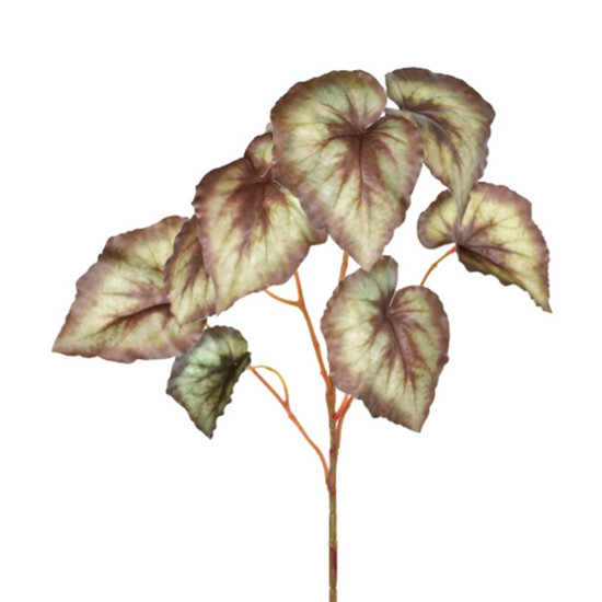 Imagem FOLHAGEM BEGONIA X3 REAL TOQUE VERDE 24X69CM GRILLO 48967