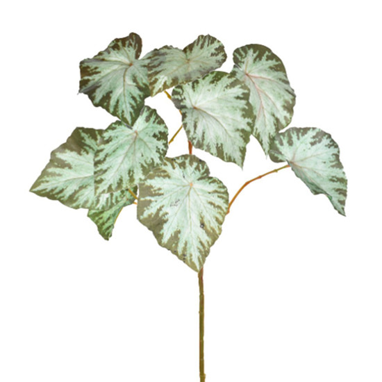 Imagem FOLHAGEM BEGONIA X3 REAL TOQUE VERDE CREME 24X69CM GRILLO 48967