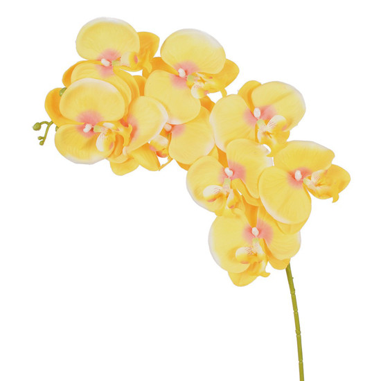 Imagem HASTE ORQUIDEA PHALAENOPSIS X9 MP AMARELO 10X86CM - GRILLO 52931