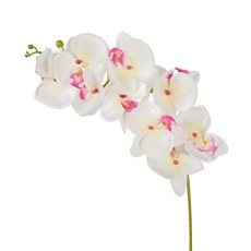 Imagem de HASTE ORQUIDEA PHALAENOPSIS X9 MP COR CREME ROSA 10X86CM - GRILLO 52931 - Grillo Ltda