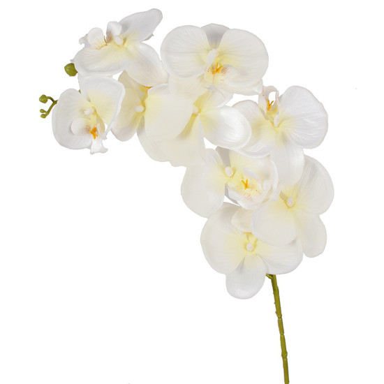 Imagem HASTE ORQUIDEA PHALAENOPSIS X9 MP COR BRANCO 10X86CM - GRILLO 52931