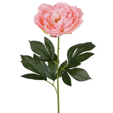 Imagem de HASTE PEONIA CETIM COR ROSA 18X66CM - GRILLO 52930 - Grillo Ltda