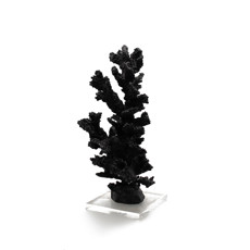 Imagem de CORAL DECORATIVO COR PRETO 11X11X26CM - THAY THAY  - Thay Thay Com Importacao E Exportacao Ltda