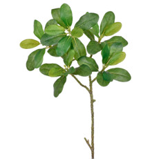 Imagem de HASTE FOLHAS SCHEFFLERA X5 REAL TOQUE VERDE 75X20CM - GRILLO 51763 - Grillo Ltda