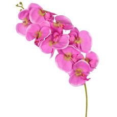 Imagem de HASTE ORQUIDEA PHALAENOPSIS X9 MP LAVANDA 10X86CM - GRILLO 52931 - Grillo Ltda