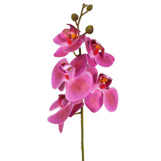 Imagem de HASTE ORQUIDEA PHALAENOPSIS X5 3D LAVANDA 12X44CM - GRILLO 53475 - Grillo Ltda