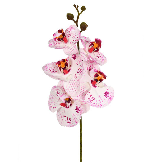 Imagem HASTE ORQUIDEA PHALAENOPSIS X5 3D PURPURA 13X44CM - GRILLO 53475