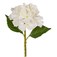 Imagem de HASTE HORTENSIA SILVESTRE CREME 14X14X33CM - GRILLO 53581 - Grillo Ltda