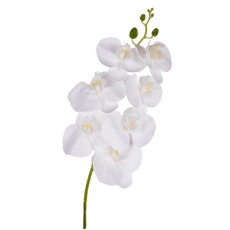 Imagem de HASTE ORQUIDEA X7 PVC BRANCO 17X78CM - GRILO 50279 - Grillo Ltda