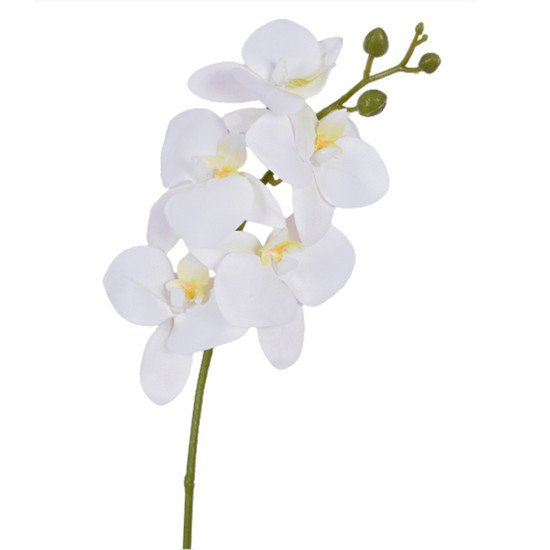 Imagem HASTE ORQUIDEA 3D X5 BRANCO 15X43CM - GRILLO 55396