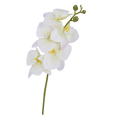 Imagem de HASTE ORQUIDEA 3D X5 CREME VERDE 15X43CM - GRILLO 55396 - Grillo Ltda