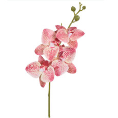 Imagem de HASTE ORQUIDEA 3D X5 LAVANDA VERDE 15X43CM - GRILLO 55396 - Grillo Ltda