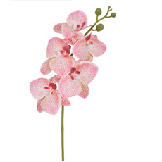 Imagem de HASTE ORQUIDEA 3D X5 ROSA VERDE 15X43CM - GRILLO 55396 - Grillo Ltda