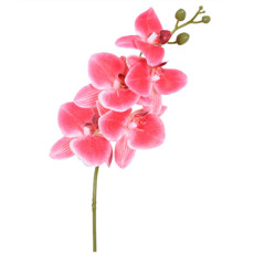 Imagem de HASTE ORQUIDEA 3D X5 VERMELHO 15X43CM - GRILLO 55396 - Grillo Ltda