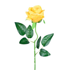 Imagem de HASTE ROSA DO CAMPO AMARELO 9X51CM - GRILLO 55200 - Grillo Ltda