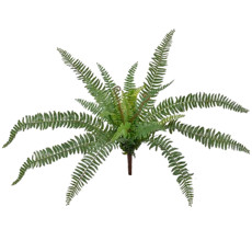 Imagem de FOLHAGEM SAMAMBAIA X23 REAL TOQUE VERDE 56X58CM - GRILLO 49024 - Grillo Ltda
