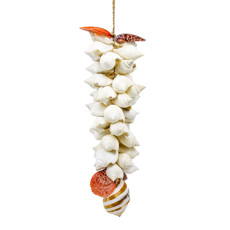 Imagem de OBJETO DECORATIVO GARLAND CANARIUM WHITE W/RADULA COM CONHAS 35CM  - Conchas Artesanato Ltda