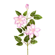 Imagem de HASTE FLOR CLEMATIS 3D X3 LAVANDA 17X88CM GRILLO 53474 - Grillo Ltda