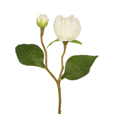 Imagem de HASTE PEONIA REGIA X2 CREME 19X45CM - GRILLO 53417 - Grillo Ltda