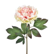 Imagem de HASTE PEONIA DO CAMPO ROSA CREME 25X74CM GRILLO 51176 - Grillo Ltda