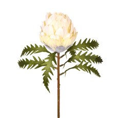 Imagem de HASTE PROTEA COM FOLHAS CREME 27X48CM GRILLO 55377 - Grillo Ltda