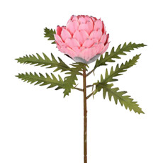 Imagem de HASTE PROTEA COM FOLHAS ROSA 27X48CM GRILLO 55377 - Grillo Ltda