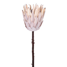 Imagem de HASTE PROTEA FLOCADA CAFÉ 16X56CM GRILLO 55373 - Grillo Ltda