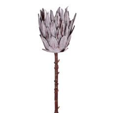 Imagem de HASTE PROTEA FLOCADA CINZA 16X56CM GRILLO 55373 - Grillo Ltda