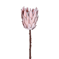 Imagem de HASTE PROTEA FLOCADA LARANJA OUTONO 16X56CM GRILLO 55373 - Grillo Ltda