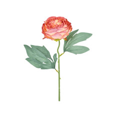 Imagem de HASTE PEONIA CETIM ROSA 10X50CM - GRILLO 54573 - Grillo Ltda