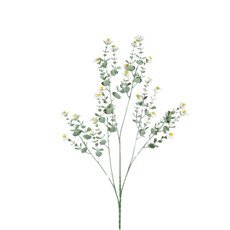 Imagem de HASTE MINI MARGARIDA DO CAMPO X3 BRANCO 8X82CM GRILLO 54598 - Grillo Ltda