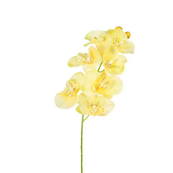 Imagem HASTE ORQUIDEA PHALAENOPSIS AMARELO 66CM GRILLO 56280