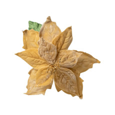 Imagem de FLOR POINSETIA DECORATIVA COR BEGE VELUDO COM DOURADO 48CM CABO LONGO  - Cromus Embalagens Ind. E Com. Ltda