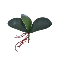 Imagem de FOLHA ORQUIDEA X3 C/RAIZ VERDE 21X14CM - GRILLO 50961 - Grillo Ltda