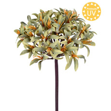 Imagem de HASTE DECORATIVA DE AGAPANTHUS VERDE DE PLÁSTICO MOLDÁVEL 80X19CM - GRILLO - Grillo Ltda