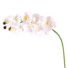 Imagem de ORQUÍDEA TOQUE REAL X9 LUXO 92CM BRANCO 30683 GRILLO - Grillo Ltda